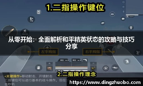 从零开始：全面解析和平精英状态的攻略与技巧分享
